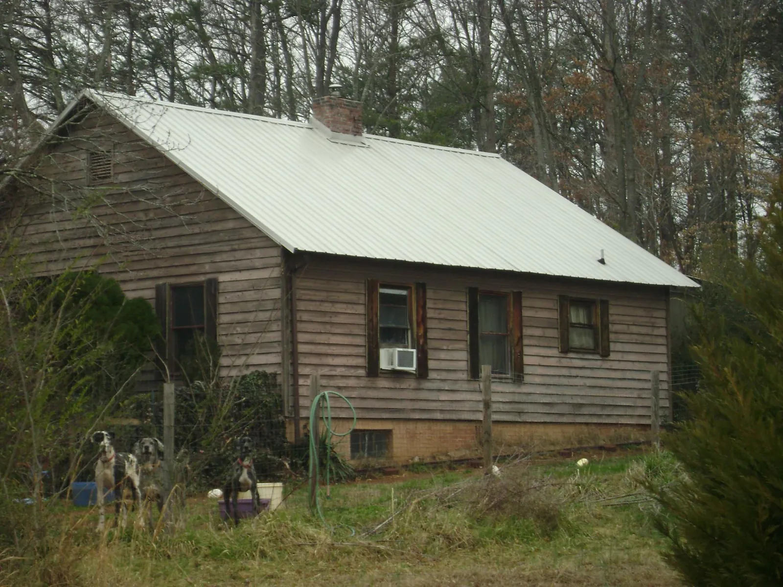 White metal roof on an old wood sided farmhouse, from a Asphalt Shingle Roof Repair job in East New Market